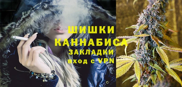 сатива Арсеньев