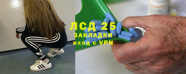 сатива Арсеньев