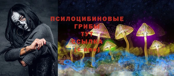 a pvp Аркадак