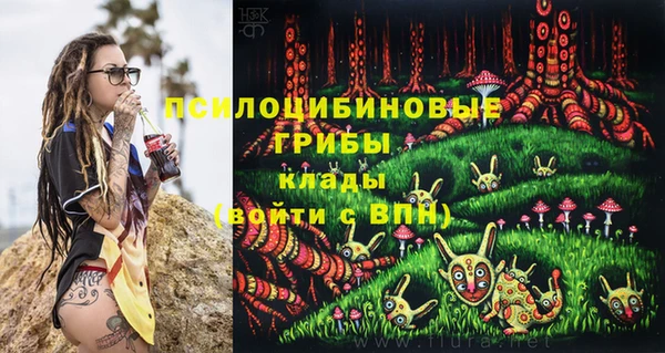 a pvp Аркадак