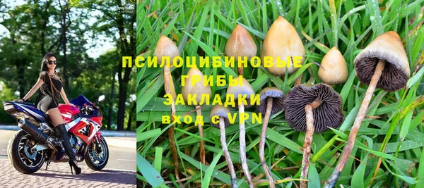 сатива Арсеньев