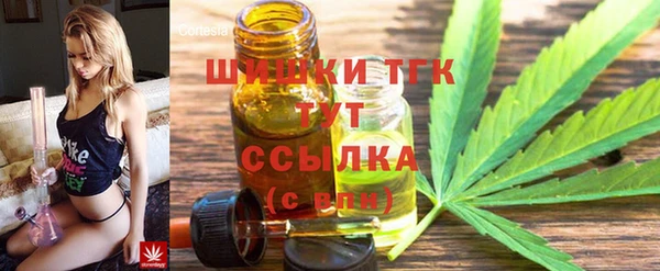 сатива Арсеньев