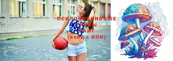 сатива Арсеньев
