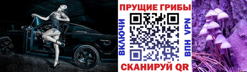 Псилоцибиновые грибы MAGIC MUSHROOMS  как найти закладки  KRAKEN как зайти  Покачи 
